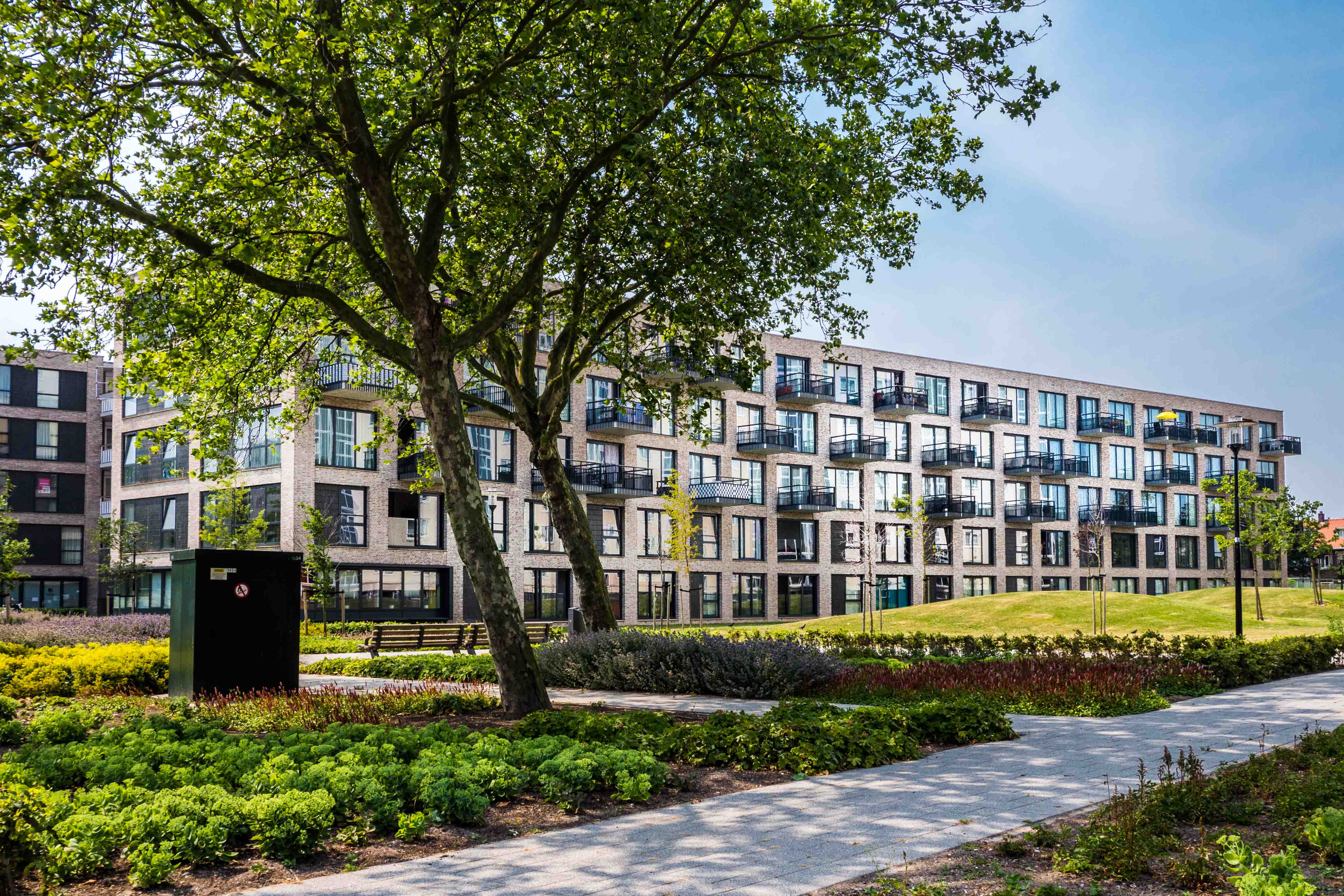 huurwoningen te huur op Blijvenburgstraat 167