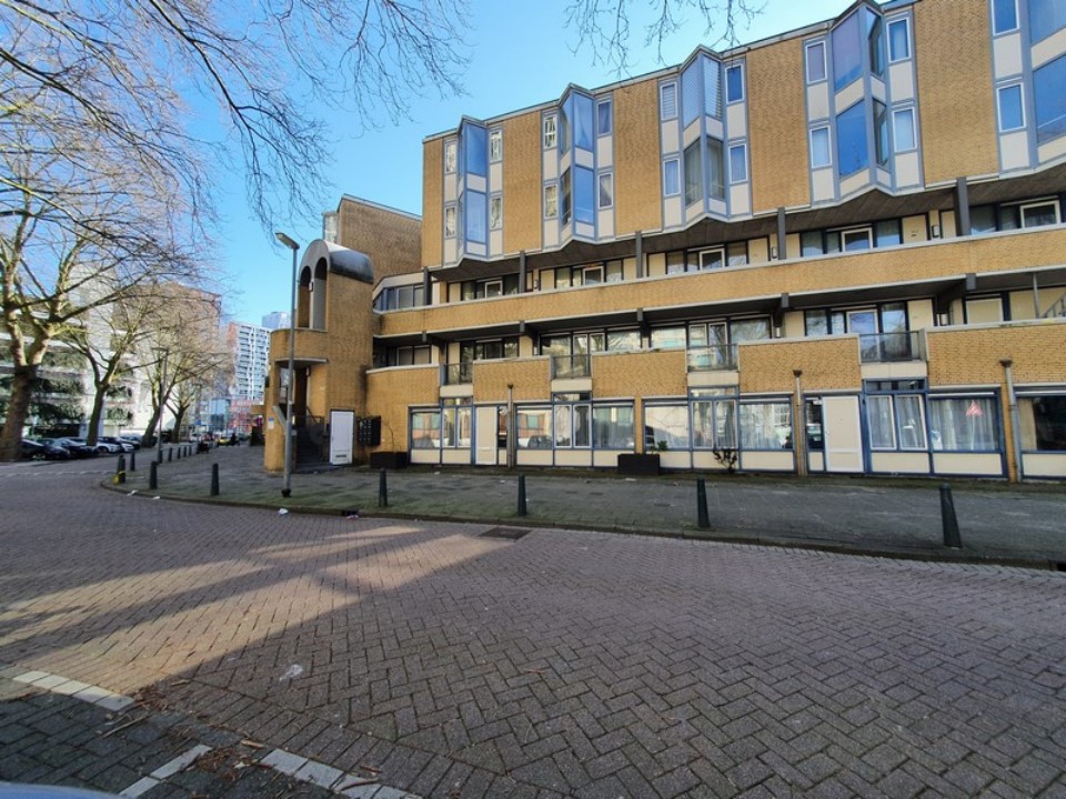 free-sector-houses for rent on Diergaardesingel 79A