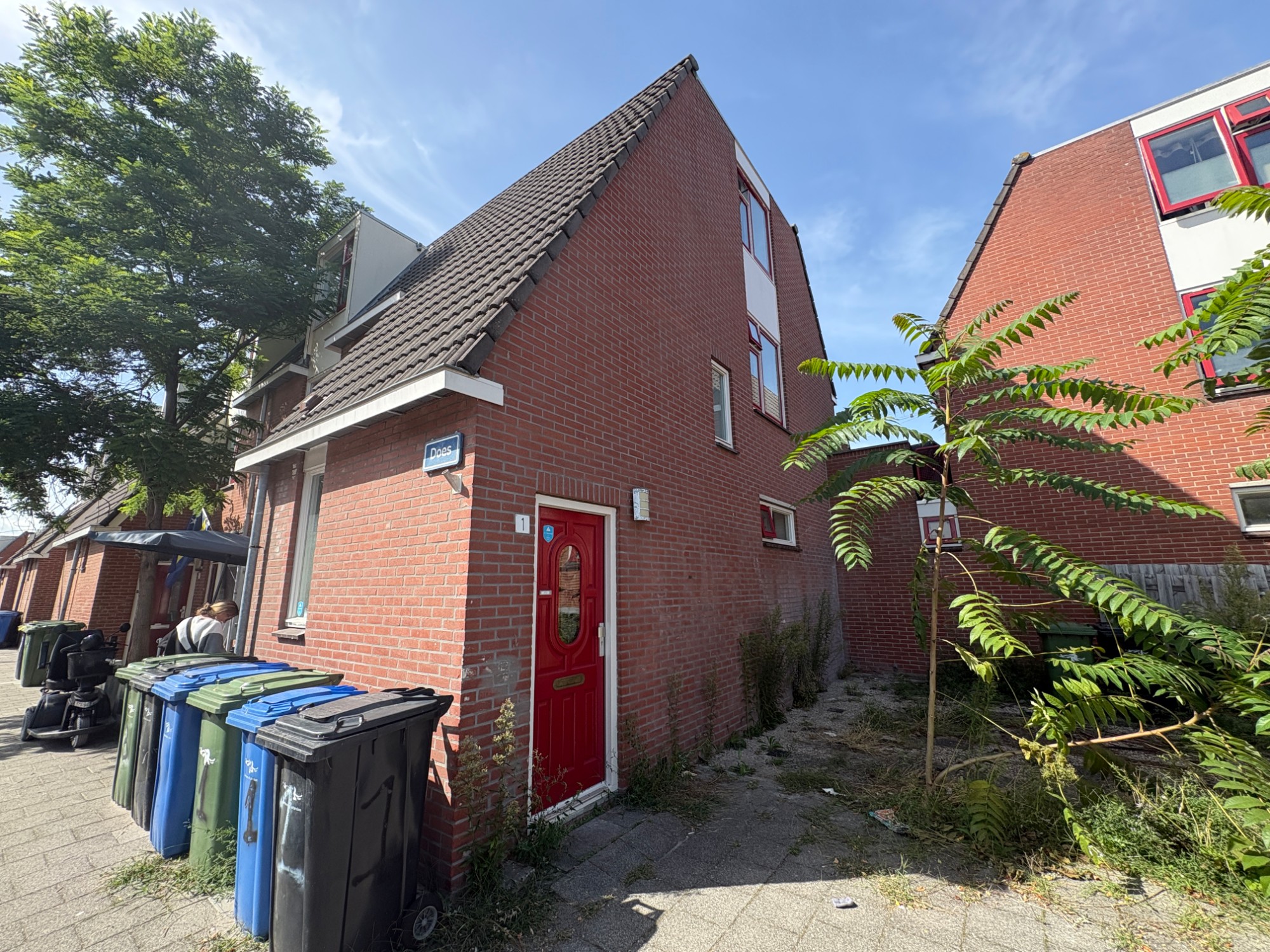 apartments for rent on Does 1