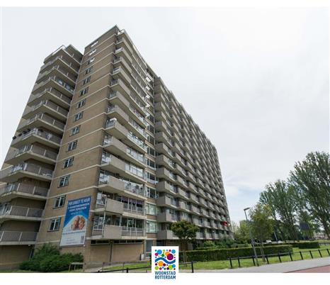 appartementen te huur op Grienderwaard 252