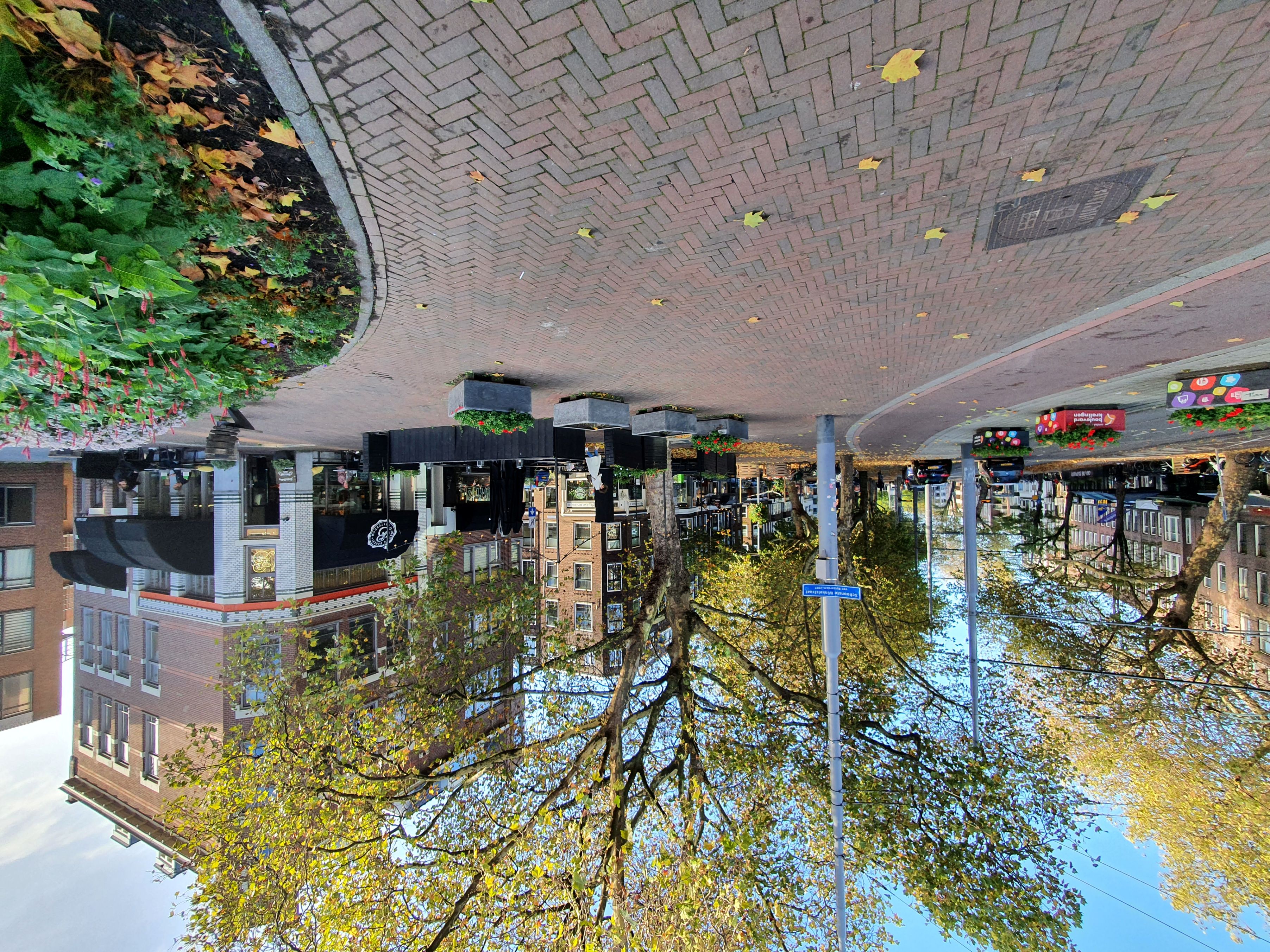 free-sector-houses for rent on Vlietlaan 52C