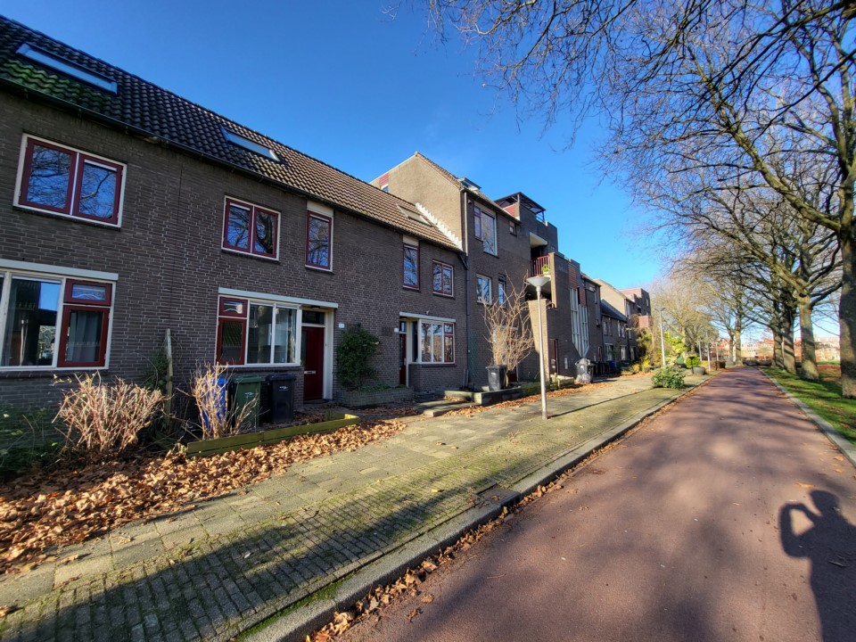 free-sector-houses for rent on Lutter 59