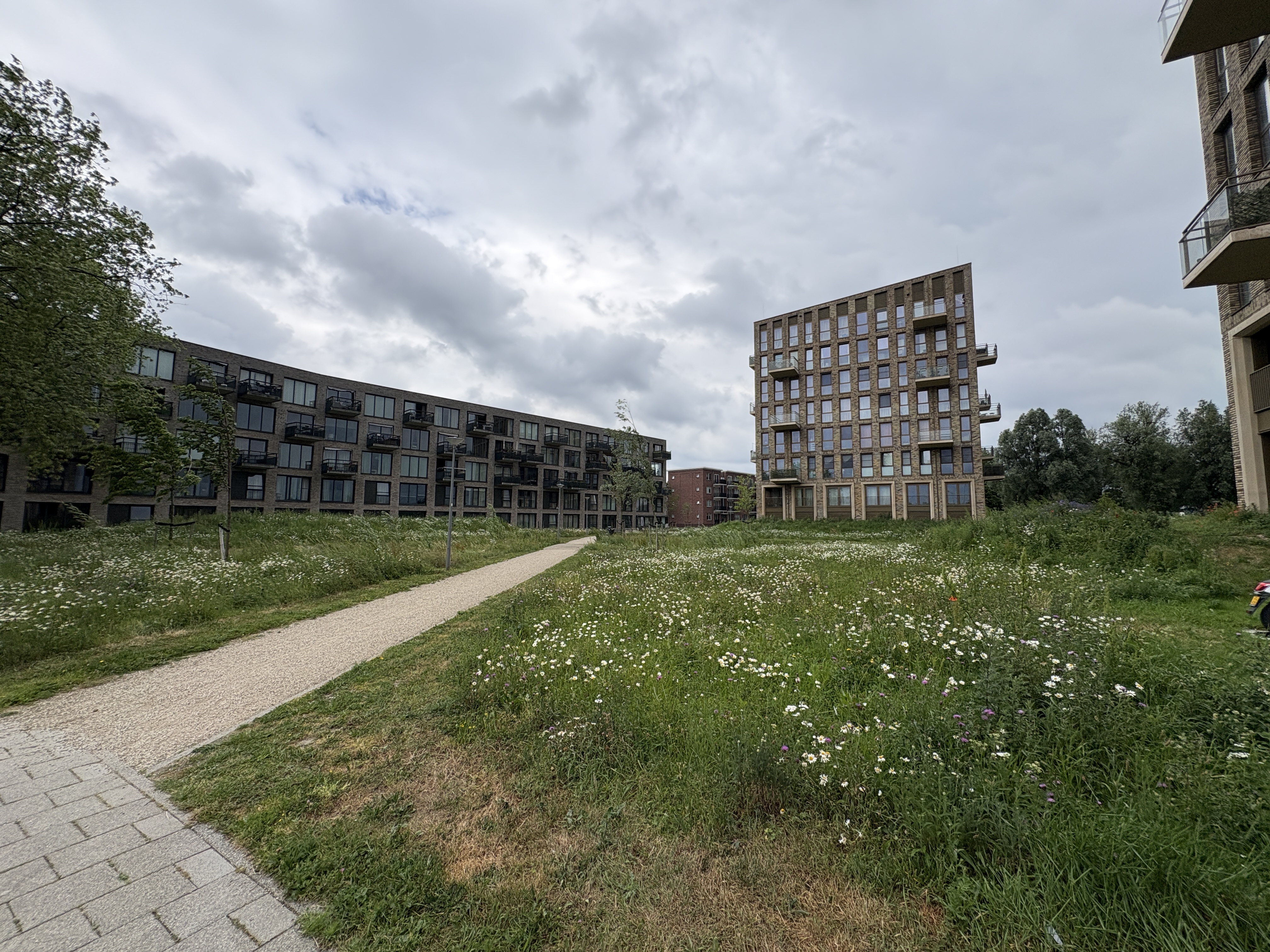 appartementen te huur op Dyxmanstraat 63